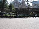 126 Central_Park.jpg